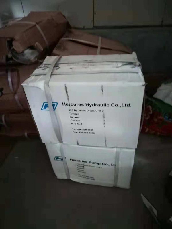 91羞羞网站入口压路机振动泵